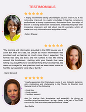 Load image into Gallery viewer, Chainalysis Cryptocurrency Fundamentals Certification (CCFC)
